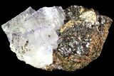 Cubic Fluorite Crystals on Sphalerite - Elmwood Mine #71939-2